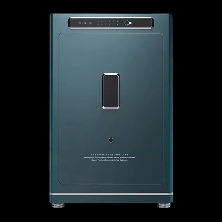 SECURE SAFE